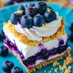 No-Bake Lemon Blueberry Dessert