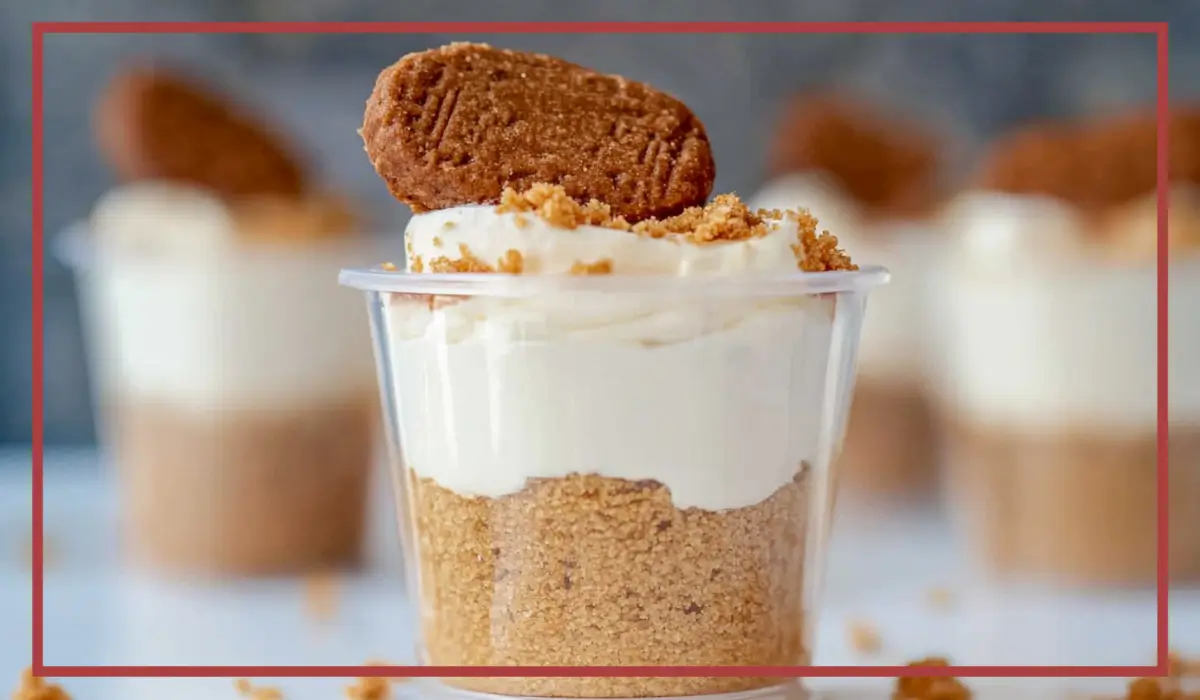 No-Bake Biscoff Cheesecake