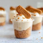 No-Bake Biscoff Cheesecake
